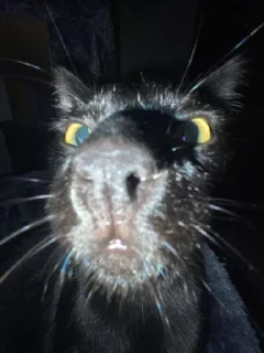 🤨