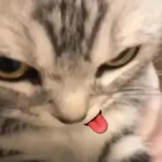 💜