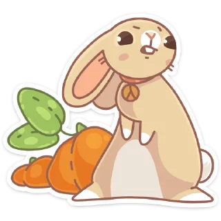 🥕