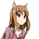 🐱