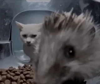 🦔
