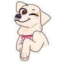 😉