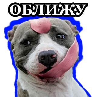 😛