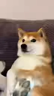 🥺