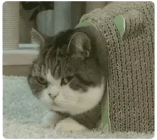 😲