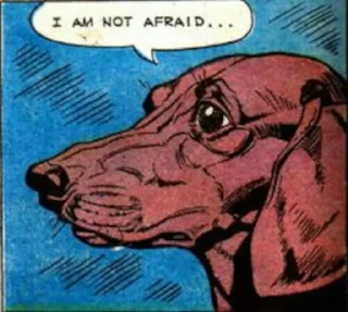 🐶
