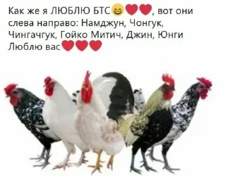 🐓