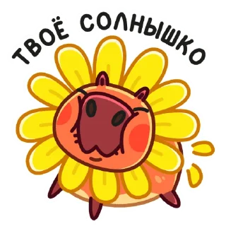☀️
