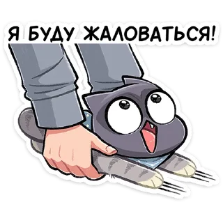 🙅‍♂️