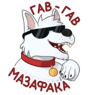 🐶