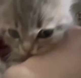 😝
