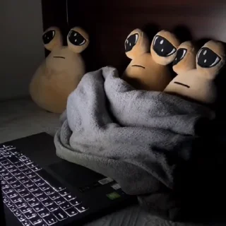 💻