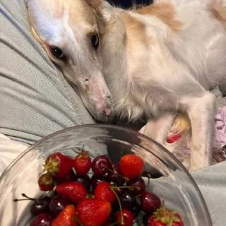 🥹