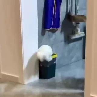 🤨