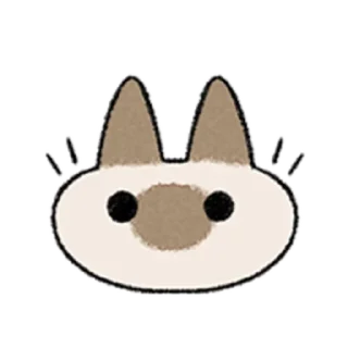 😺