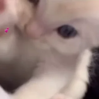 💗