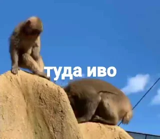 🤪