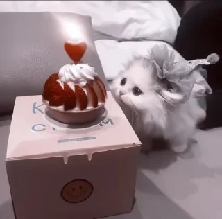 🥺
