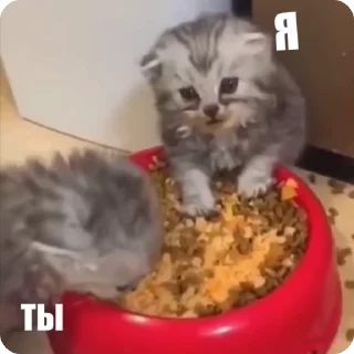 🙂