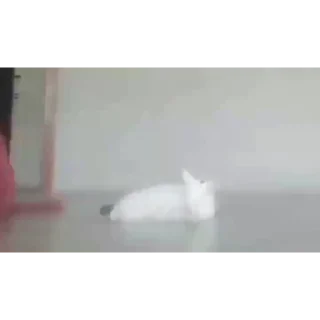 😏