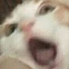 ANIM3M3S