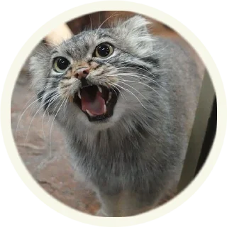 😱