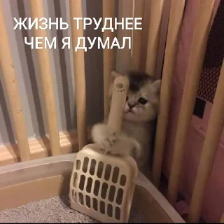 😣