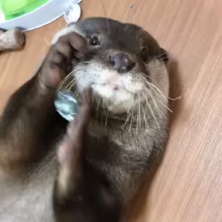 💎