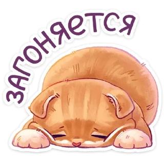 😣