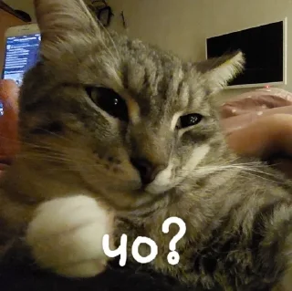 🤨
