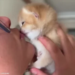 😘