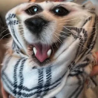 😀