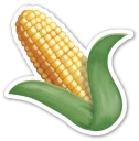 🌽