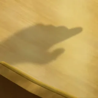 🌟