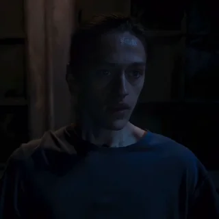 🕷️
