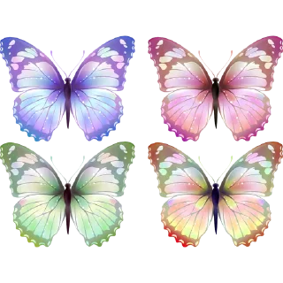 🦋