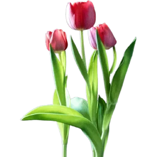 💐