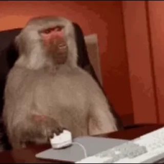 💻