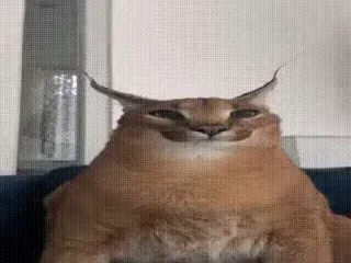 🙂