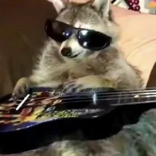 🎸