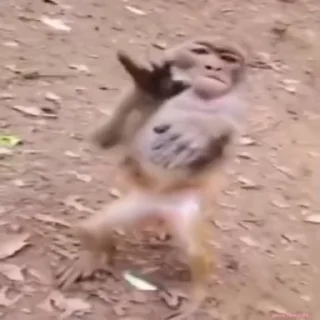 🤘