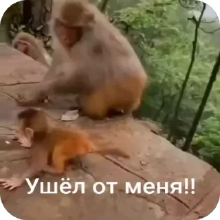 😤
