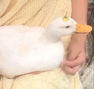 😐