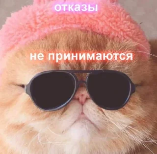 😎