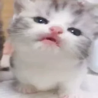 😛