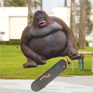 🛹