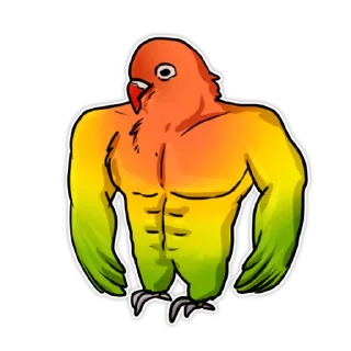 💪