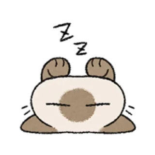 😺