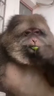 😘