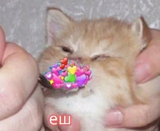 ❤